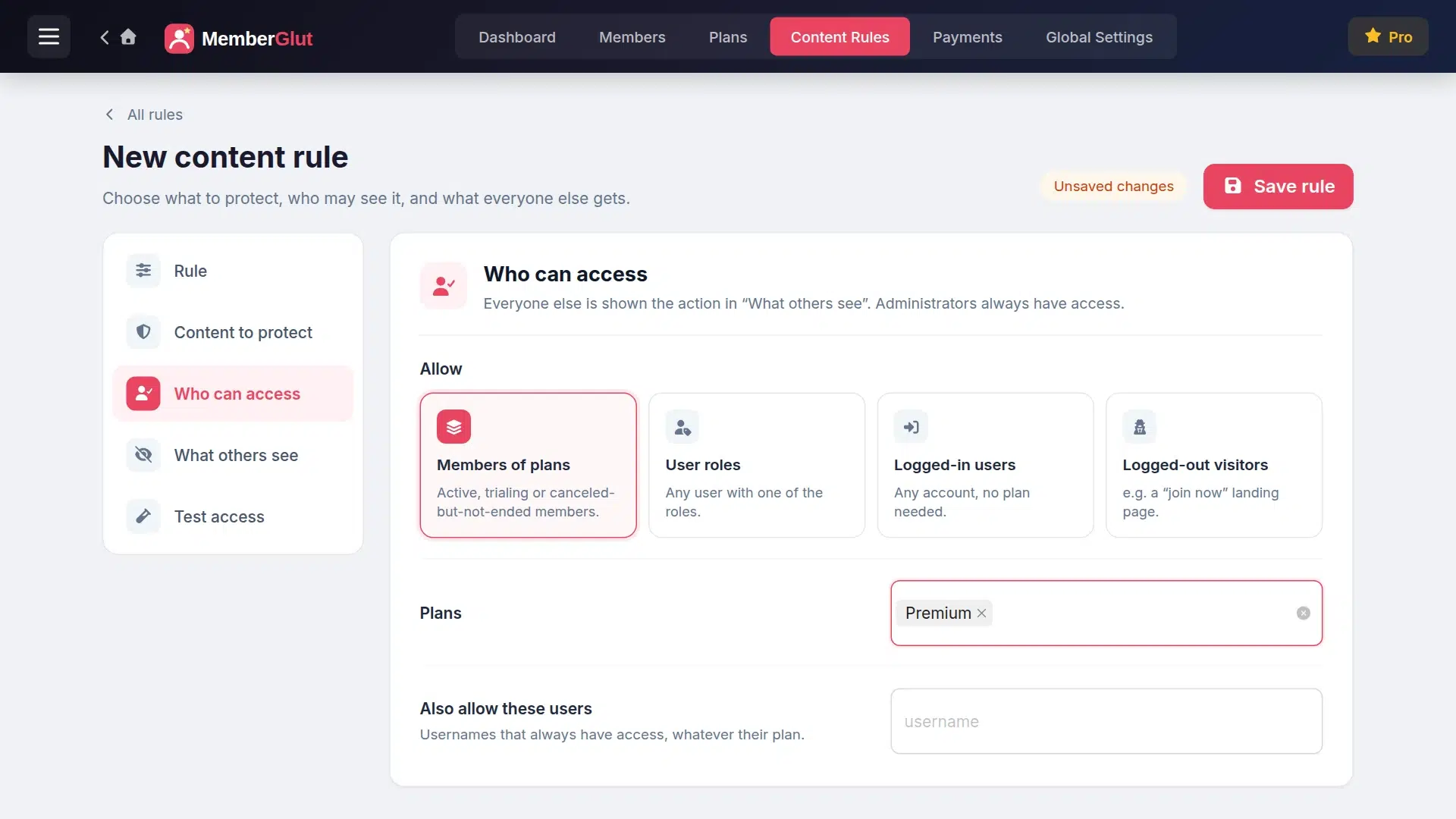 Who can access tab with Members of plans and the Premium plan selected